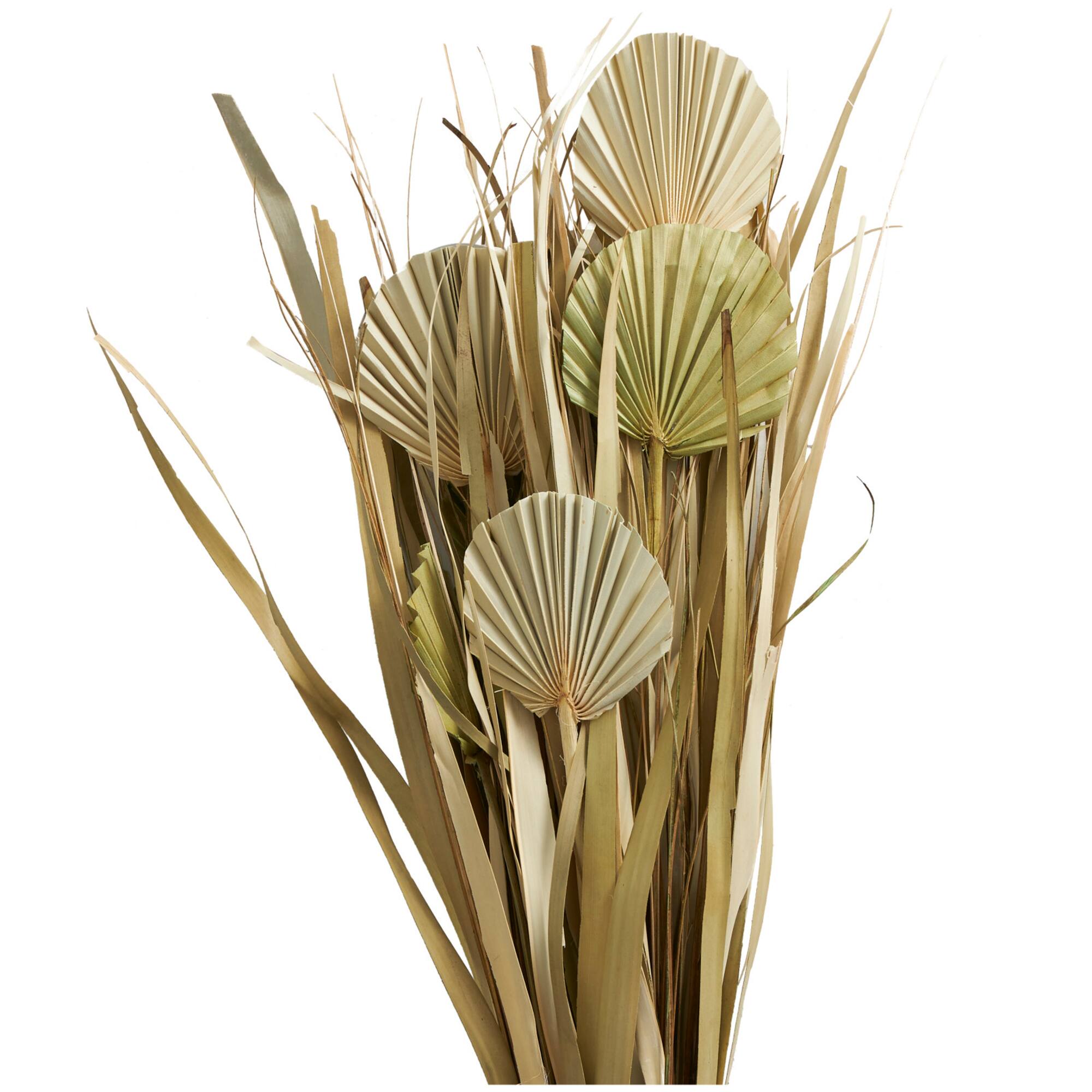 40" Green Dried Plant Bouquet Grass Natural Foliage with Fan Like Palm Leaves
